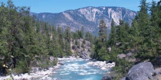 Hermesacat Bob banner