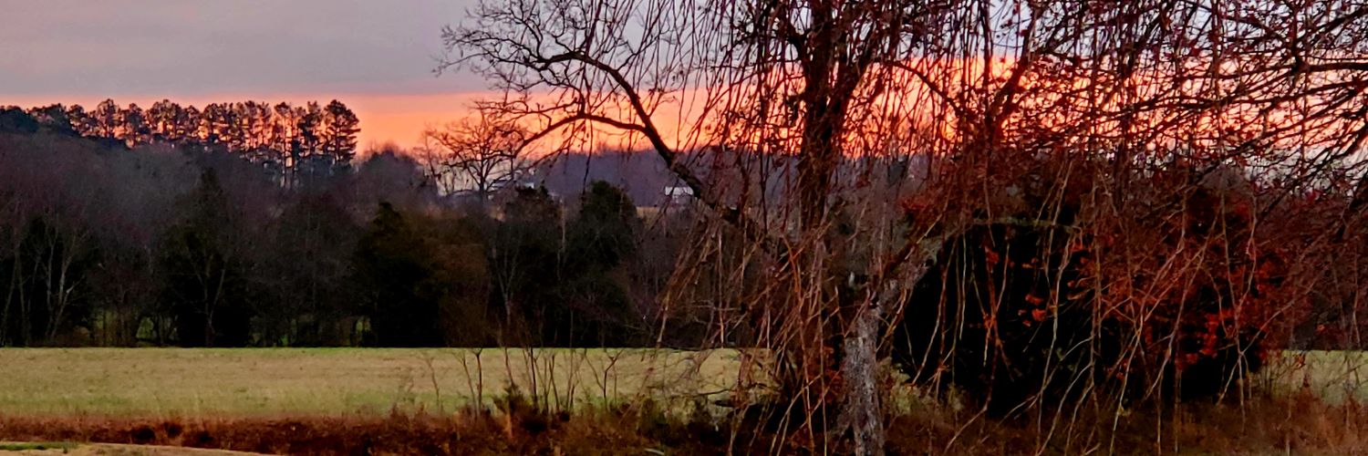 Mary B from Tennessee banner