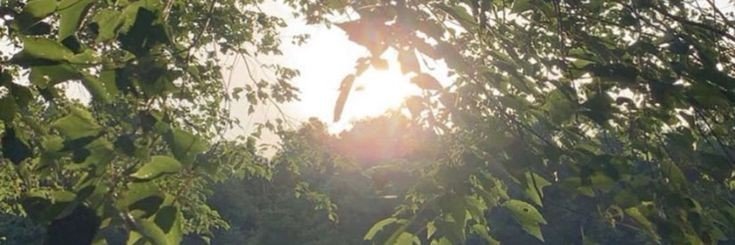 soomkzz's profile banner image