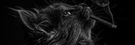 Context Kid 🇿🇦 banner