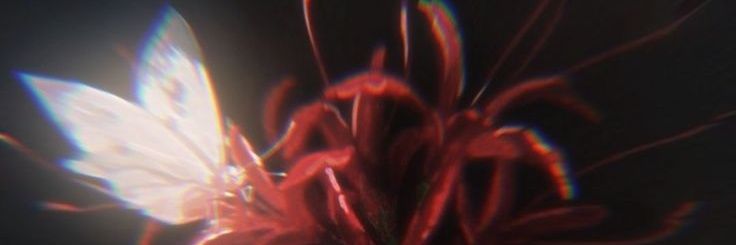 IRRAQQI's profile banner image
