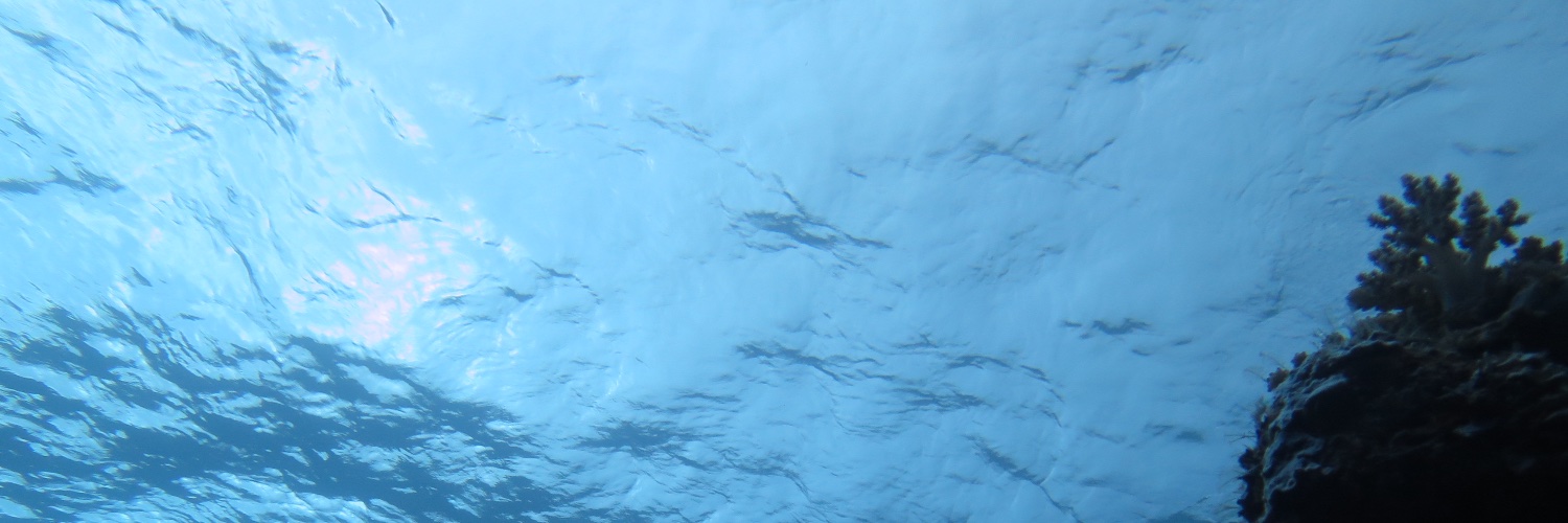 krisbewla's profile banner image
