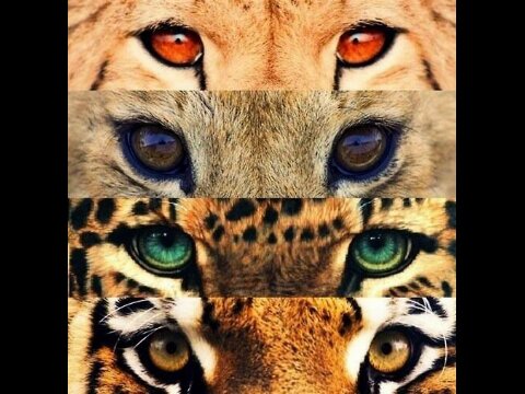HernandoBri94's profile banner image