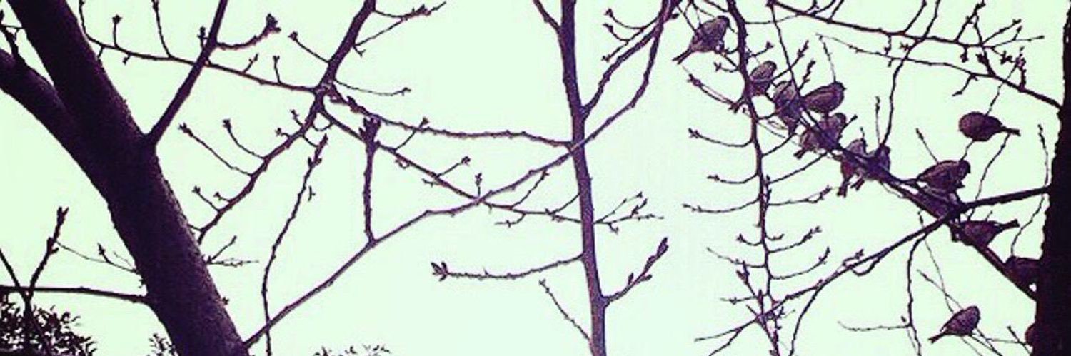 yuk_aco's profile banner image