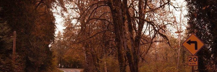 raluar_1's profile banner image