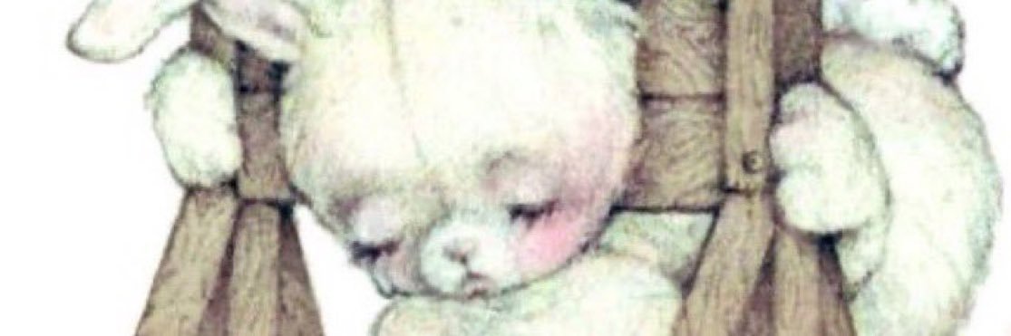 zebweb's profile banner image