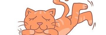 hiateatral's profile banner image