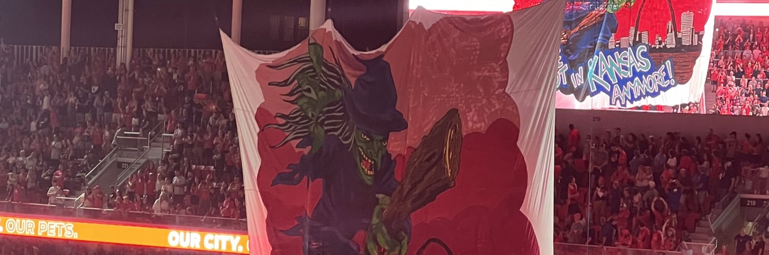 Saint Louis CITY SC Fan banner