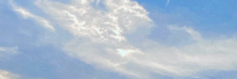 0xJasmine's banner