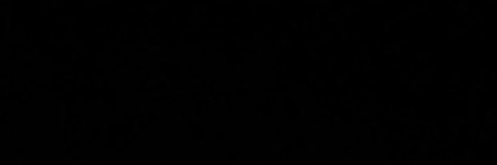 Karen Baren banner