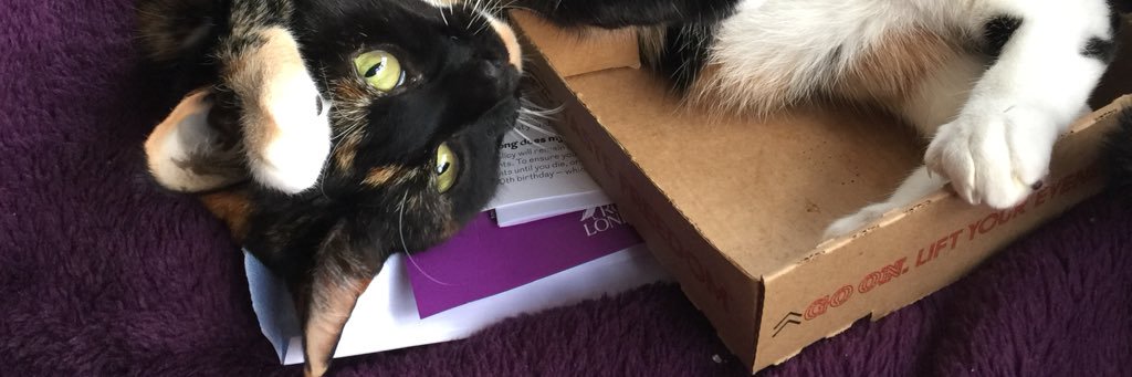 kat_st's profile banner image