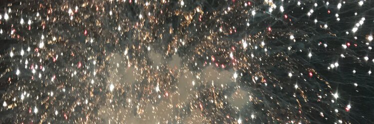 Reece banner