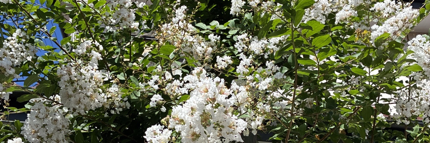じ banner