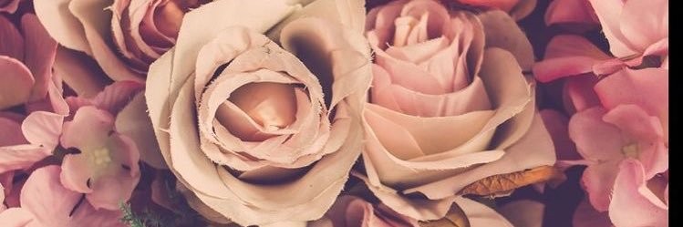 sincerelyCi__'s profile banner image