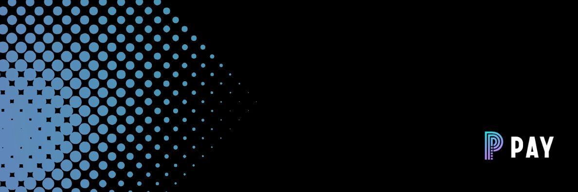 Pay Protocol banner