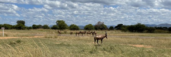 ThatoTsAndCs Profile Banner