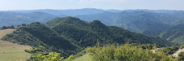 cspadoni Profile Banner