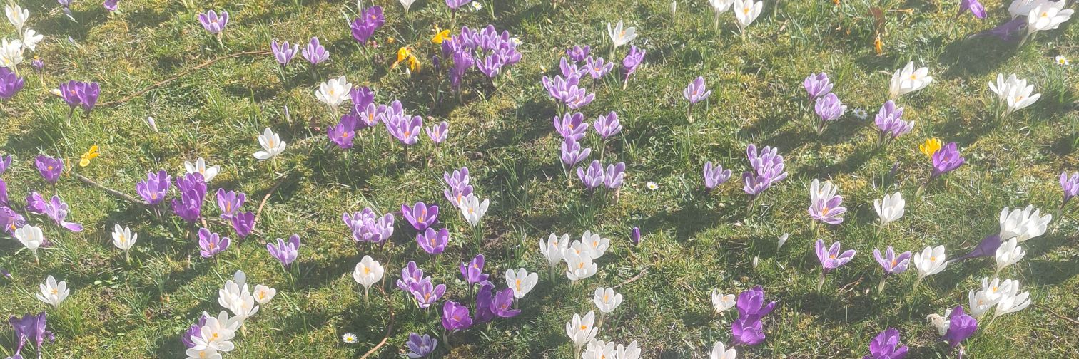 🎗️Charlie Hey Hey ❤️ banner