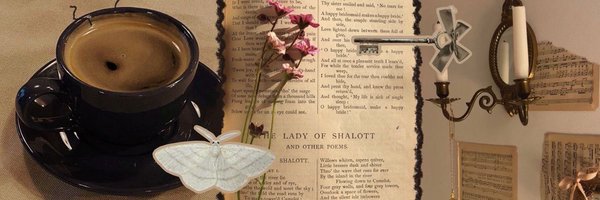 winterreaderrr Profile Banner