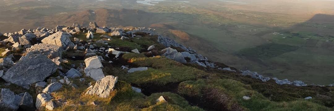 Claire Harrison banner