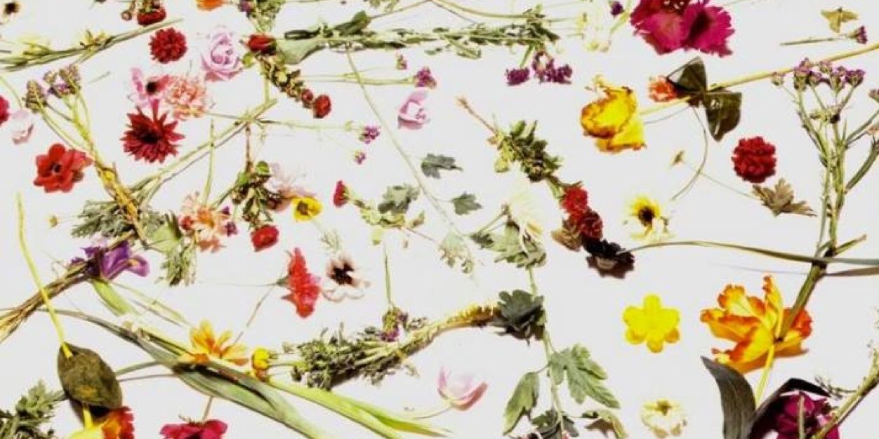 FreeChild777's profile banner image