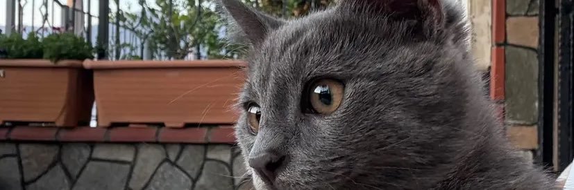 o_osmanomeroglu's profile banner image