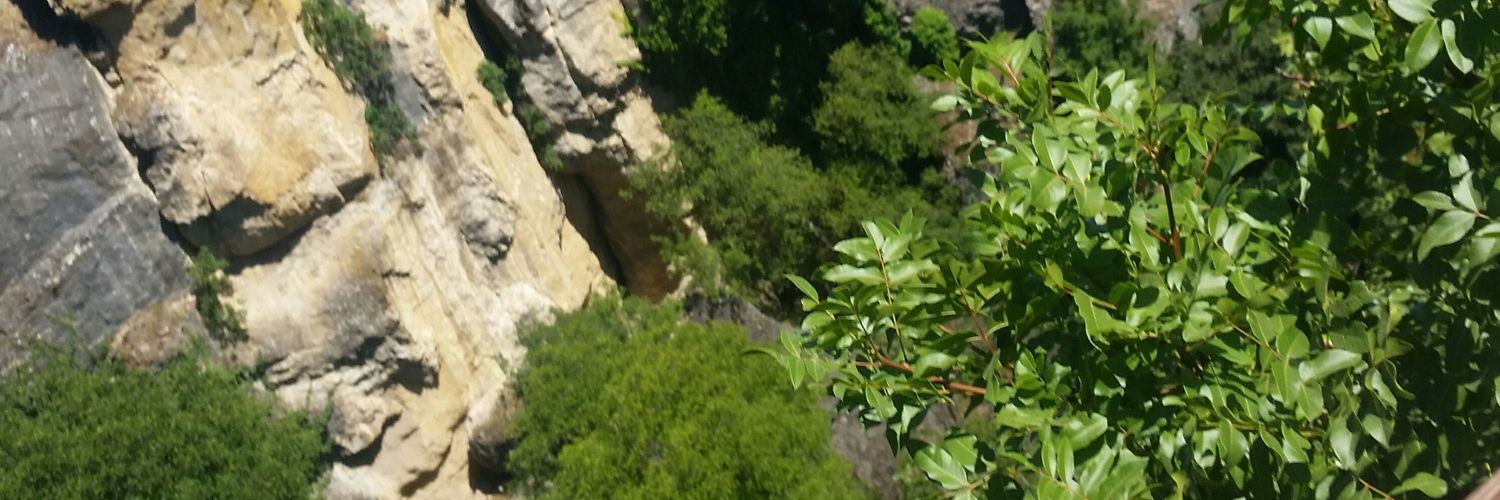 ykisla's profile banner image