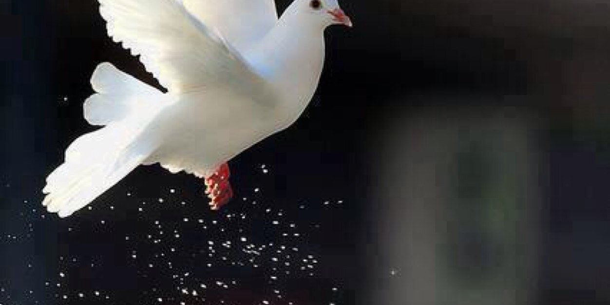 kucakli's profile banner image