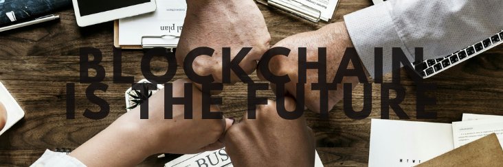 crypto_hunted's profile banner image