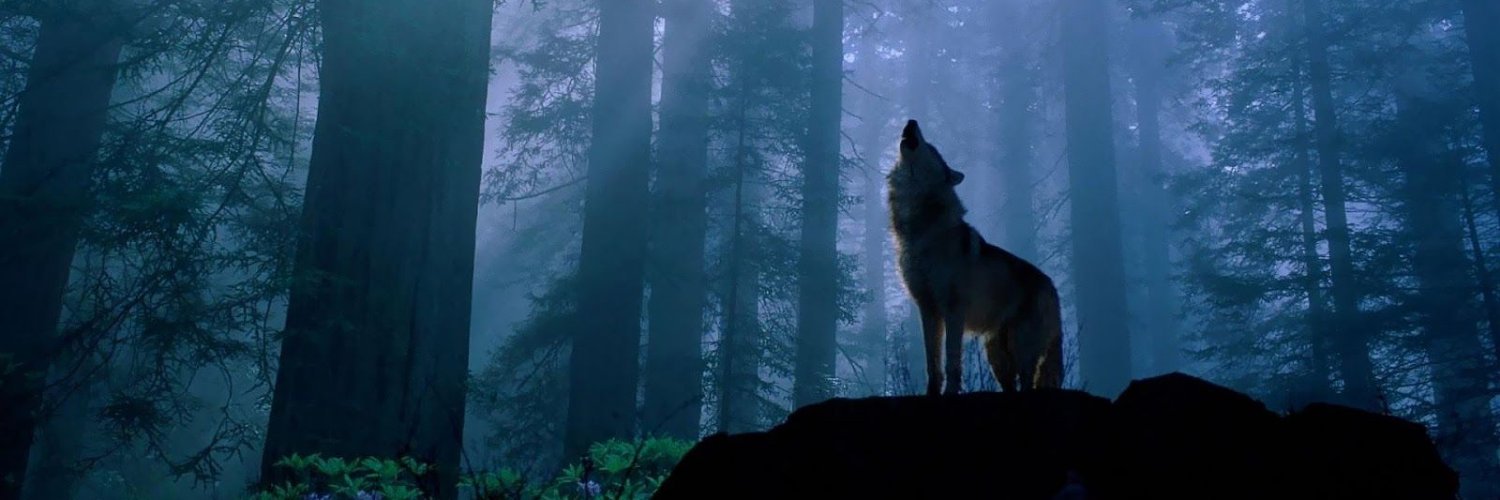 Rebelwolf's profile banner image