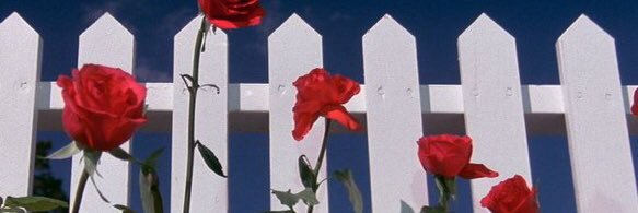 directed by ecem banner