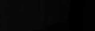 valen banner