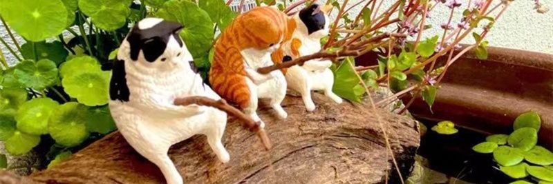 NeonCatStore's profile banner image
