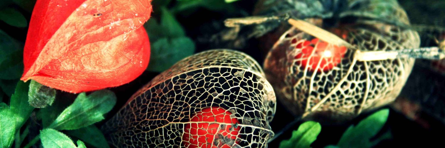 AmberMasonv7699's profile banner image