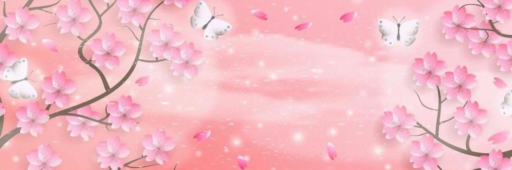🌸MomoMaple🌸 (Off and On)'s banner