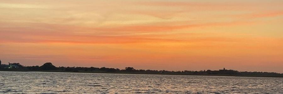 Sara banner