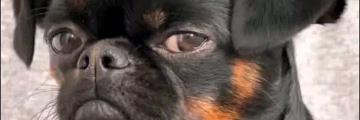 GilbertNamalele's profile banner image