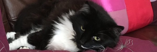 b51230 Profile Banner