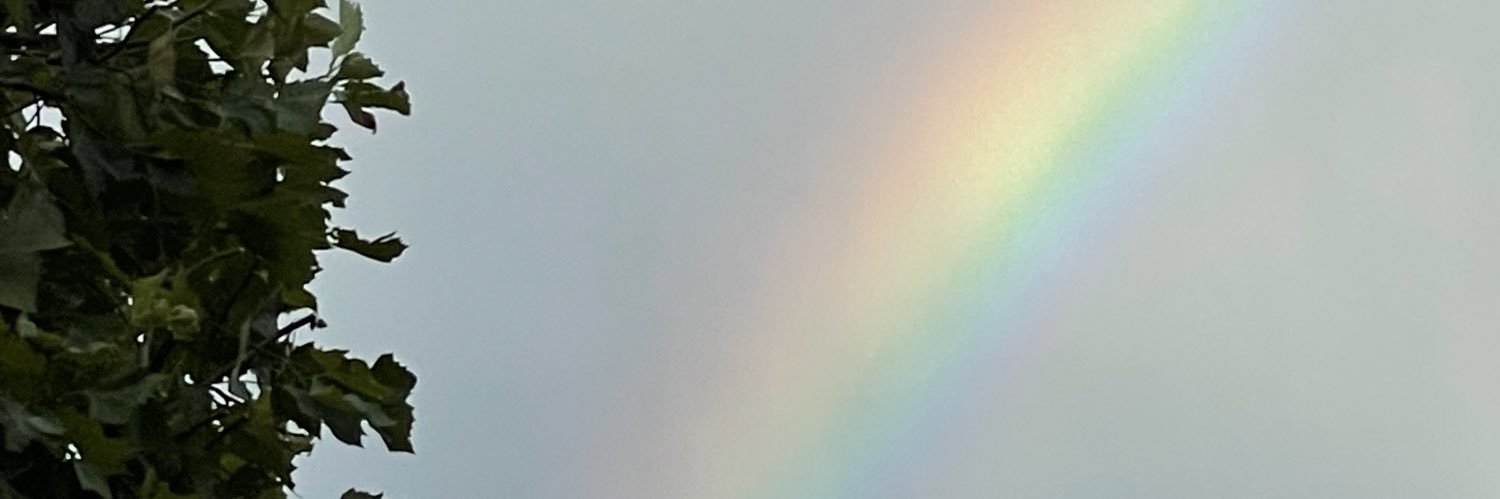 sachi banner