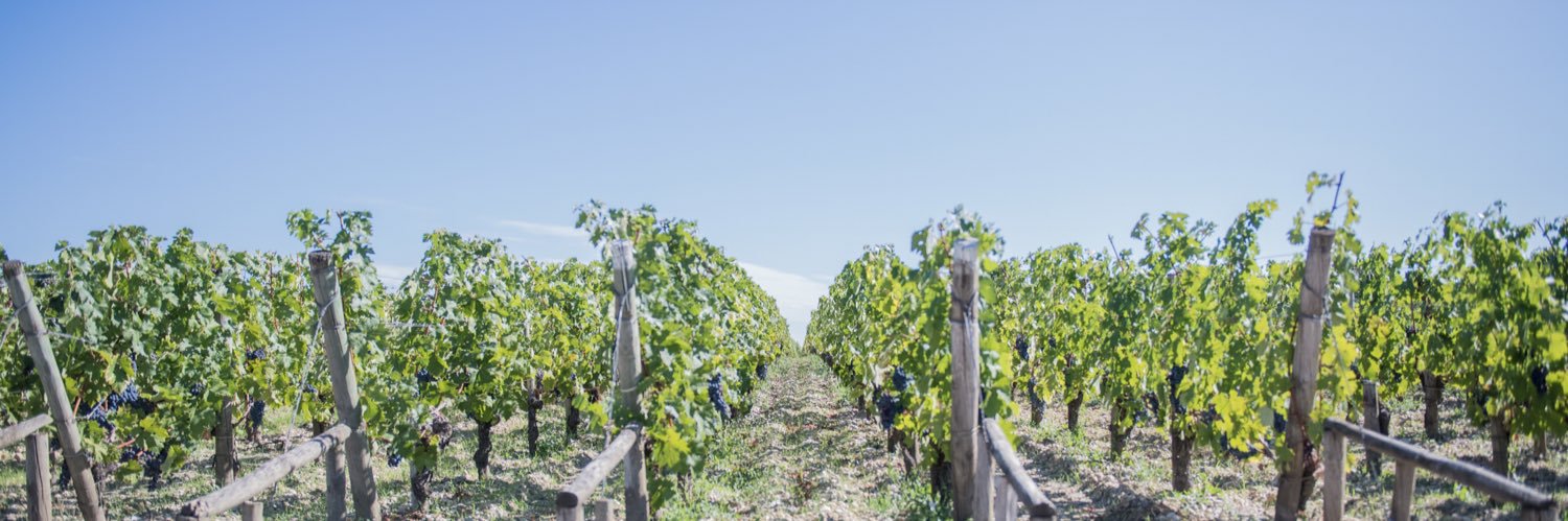 Domaine Clarence Dillon banner