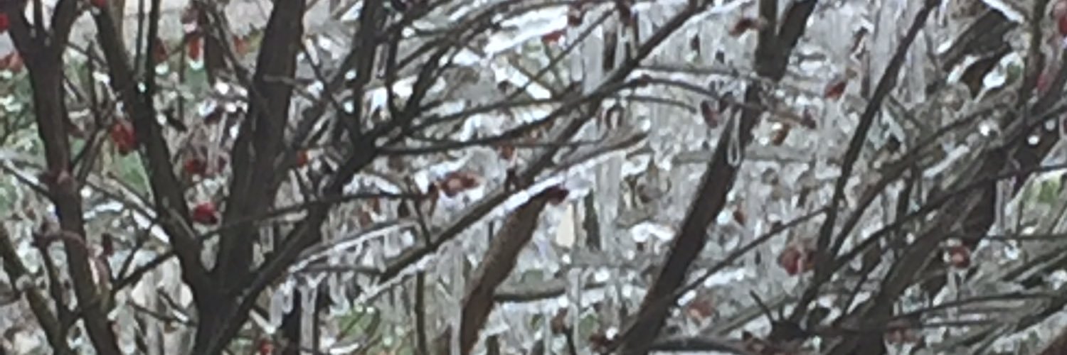 jillktallman's profile banner image