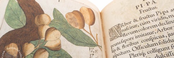 JanusProject_ Profile Banner