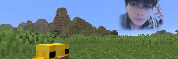 nishmonroll's profile banner image