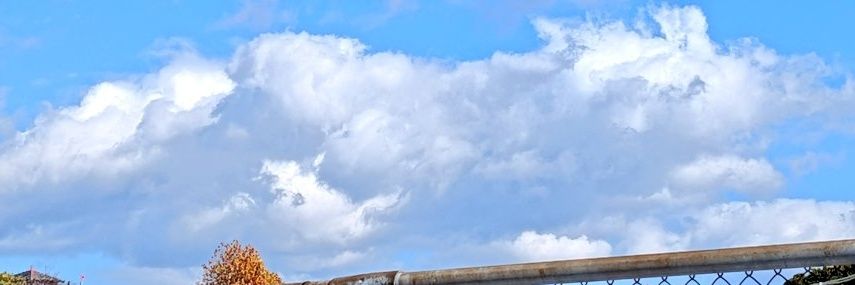 ぜにまる【公式】 banner