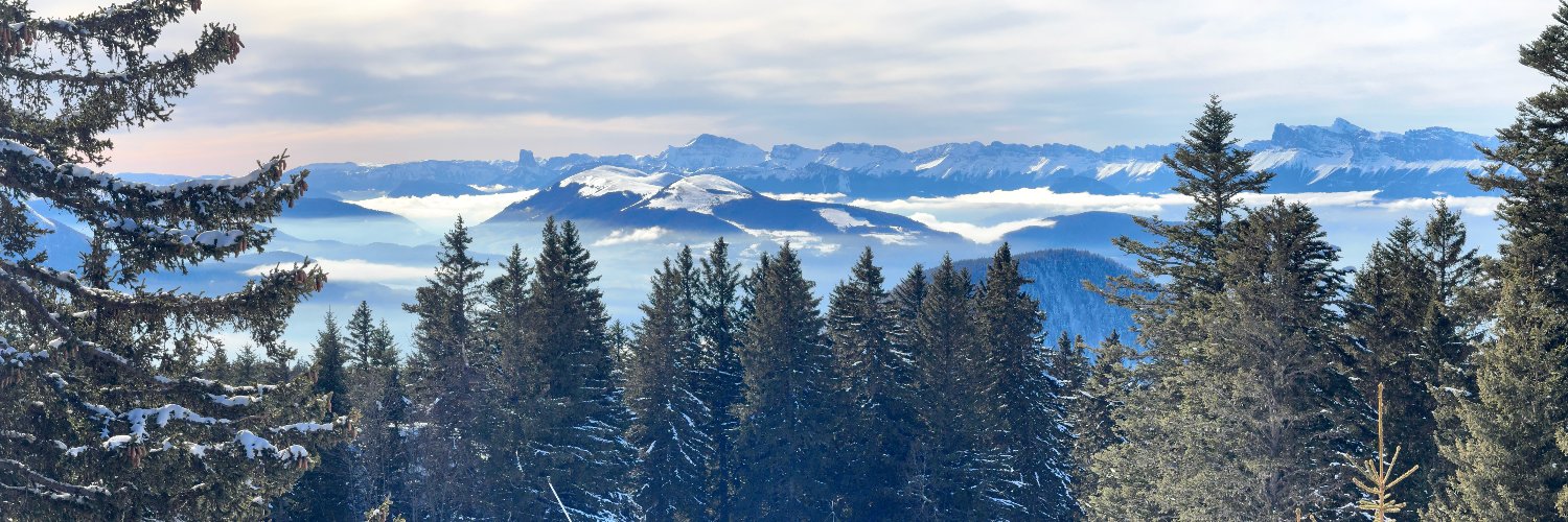 Benjamin David banner