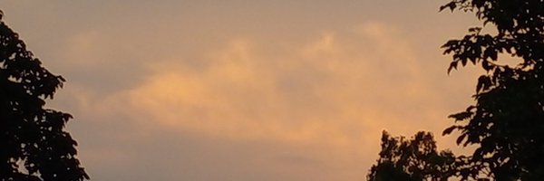 _EndlessGhost_ Profile Banner