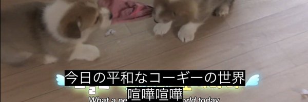 fuwawhale Profile Banner