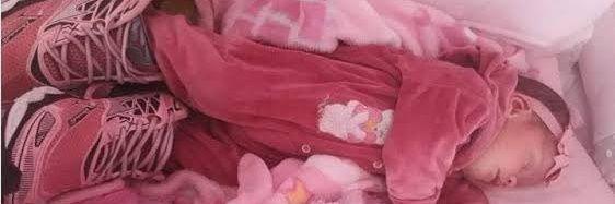 bruce greenstone belt banner