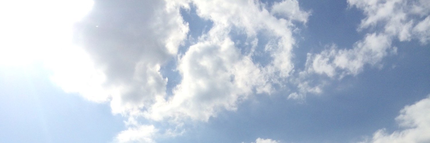 나무 banner