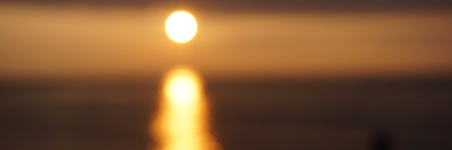 拉丝儿 banner